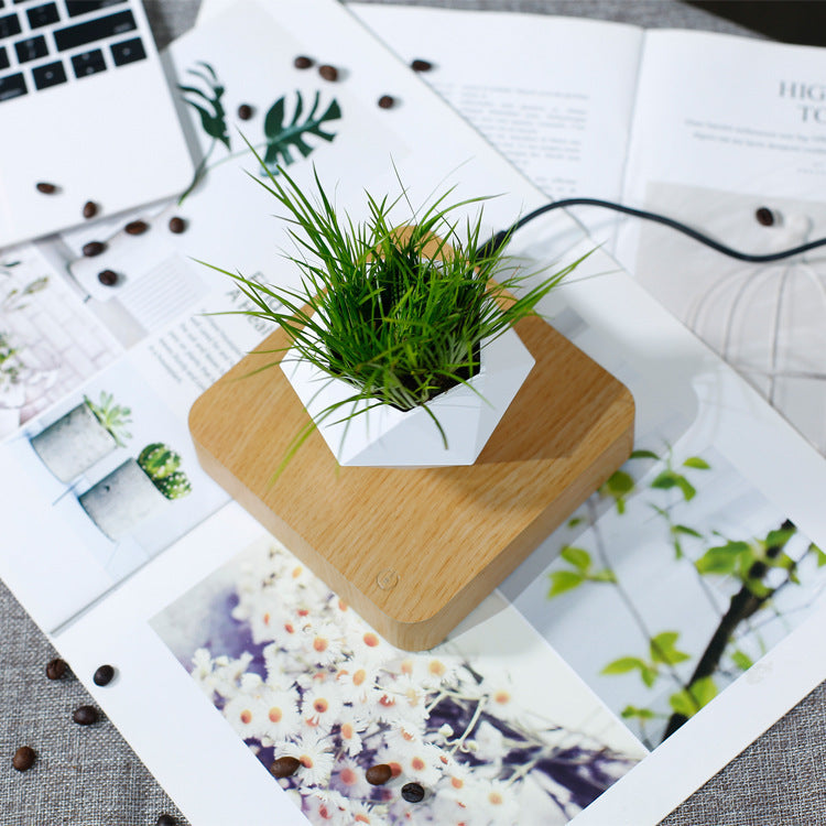 Magnetic Levitation Polygonal Wood Grain Potted Plant – The Future of Home Decor! ✨