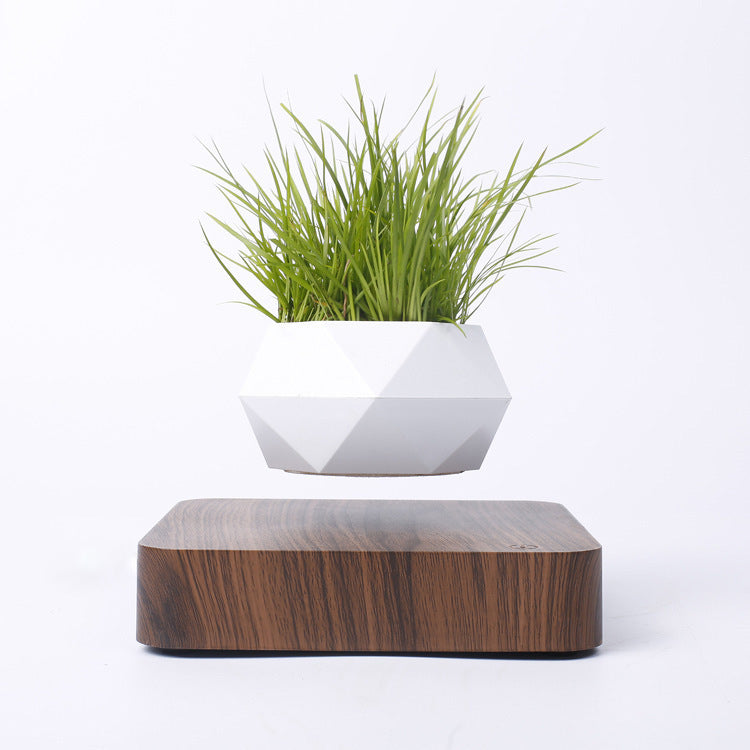 Magnetic Levitation Polygonal Wood Grain Potted Plant – The Future of Home Decor! ✨