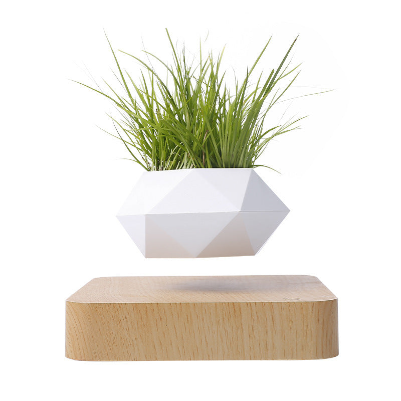 Magnetic Levitation Polygonal Wood Grain Potted Plant – The Future of Home Decor! ✨