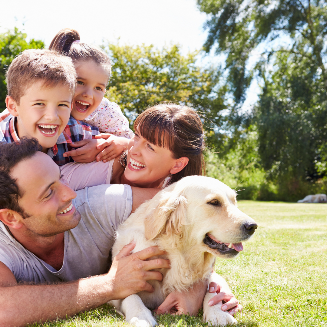 Pets Care
