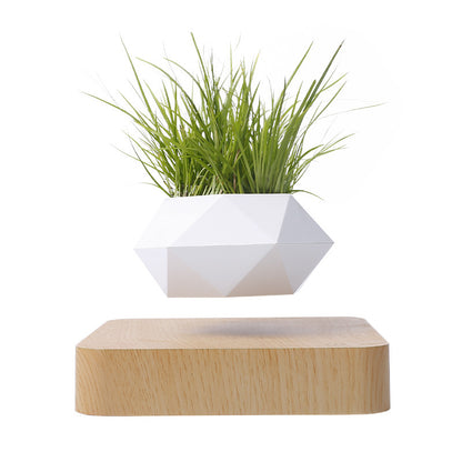 Magnetic Levitation Polygonal Wood Grain Potted Plant – The Future of Home Decor! ✨