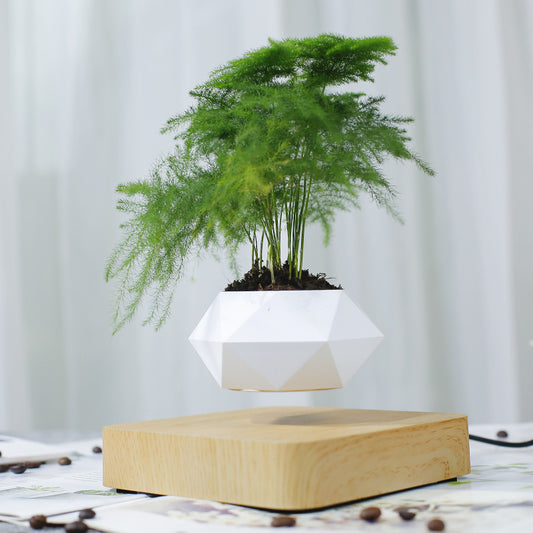 Magnetic Levitation Polygonal Wood Grain Potted Plant – The Future of Home Decor! ✨