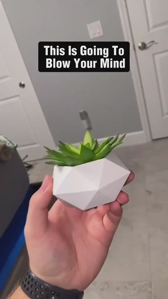1.mp4